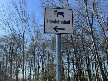 Hundefreilauf am Südufer Allersee