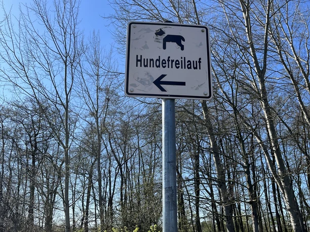Hundefreilauf am Südufer Allersee