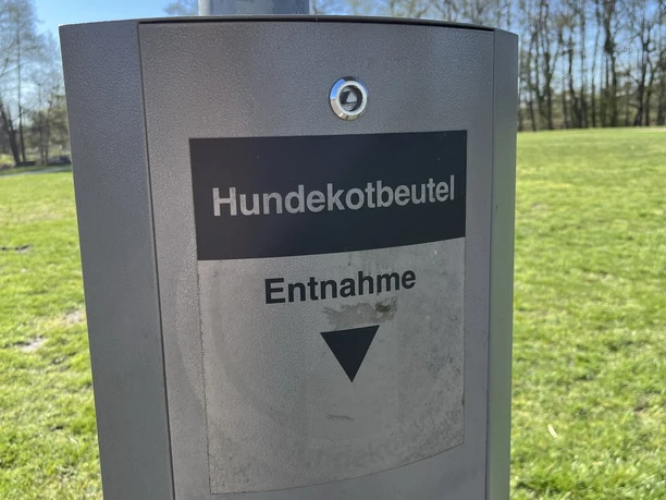 Hundefreilauf am Südufer Allersee