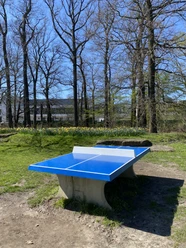 Tischtennis im Allerpark