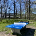 Tischtennis im Allerpark