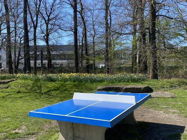 Tischtennis im Allerpark