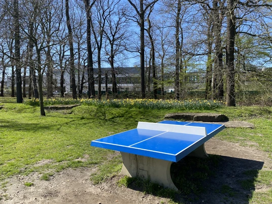 Tischtennis im Allerpark