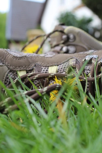 Ein Paar braune Wanderschuhe liegt im Gras, umgeben von Blumen, im Hintergrund sind Bäume zu sehen.