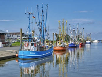 Kutterhafen in Dorum-Neufeld
