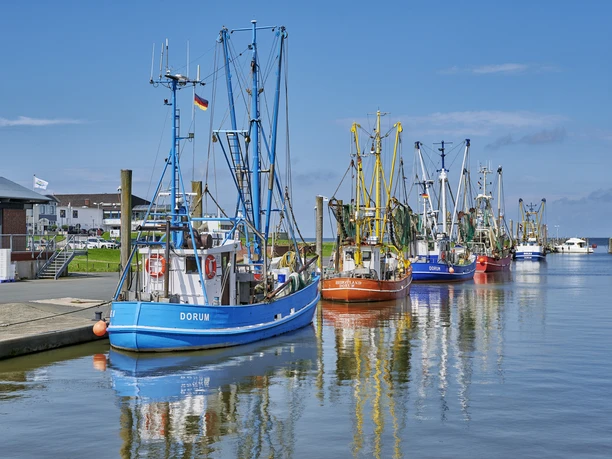 Kutterhafen in Dorum-Neufeld