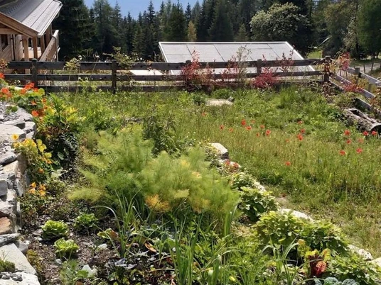 Pekol & Schnellbach Gartenbau