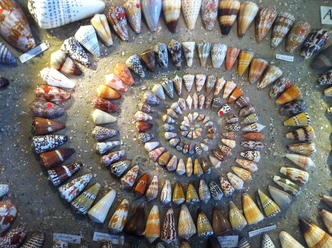 POI-Muschelmuseum.JPG
