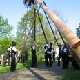 Maibaumstellen Foto Maenner