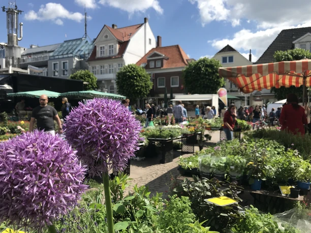 Wochenmarkt Aurich Blumen und Pflanzen Wochenmarkt Aurich Blumen und Pflanzen