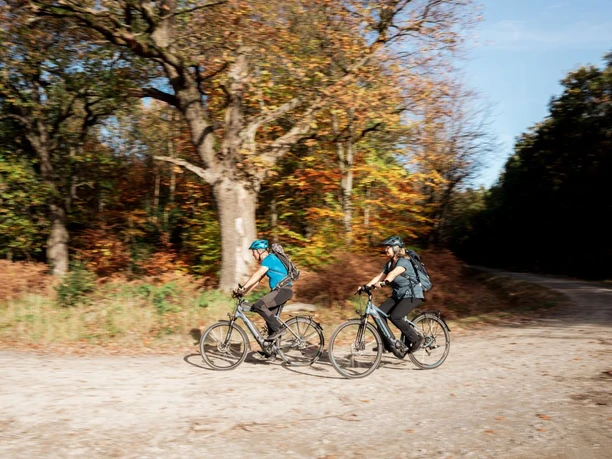 Fahrrad im Naturpark Reinhardswald