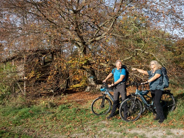 Radfahren NP Reinhardswald