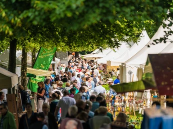 SchlossSommer | Schloss- und Auenpark SchlossSommer | Schloss- und Auenpark