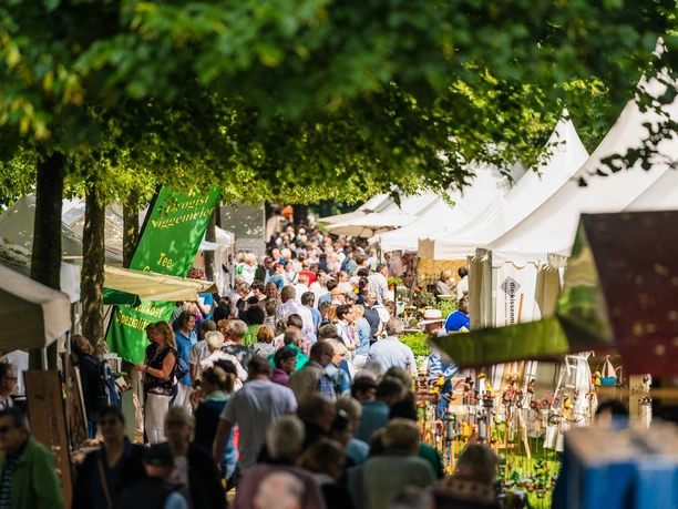 SchlossSommer | Schloss- und Auenpark SchlossSommer | Schloss- und Auenpark