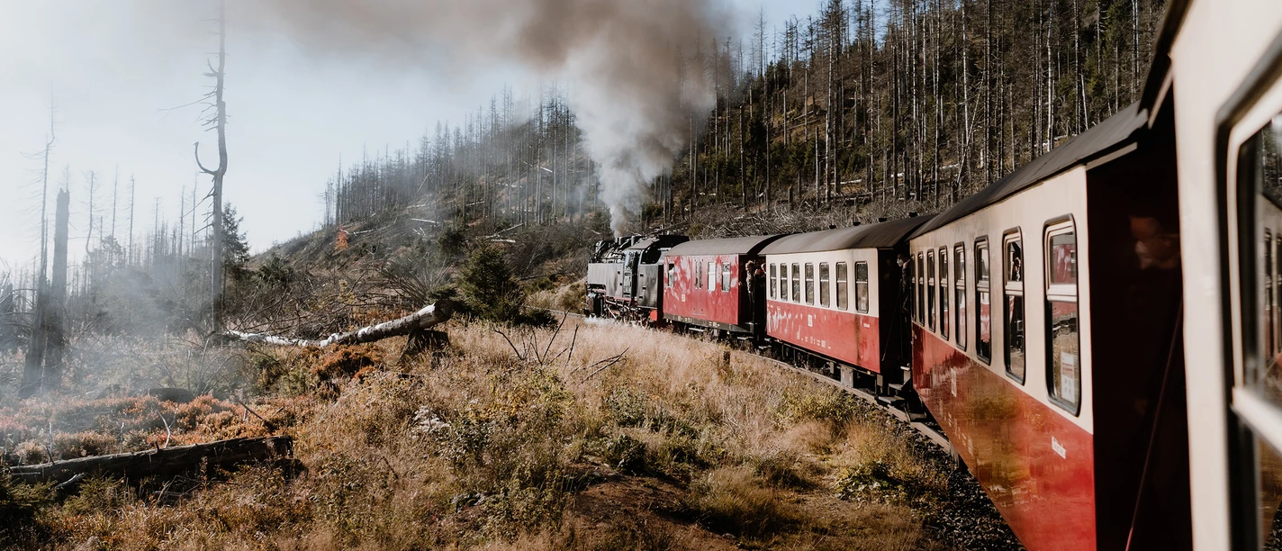 Dampflok der Harzer Schmalspurbahnen fährt mit roten Wagen durch den Harzwald.
