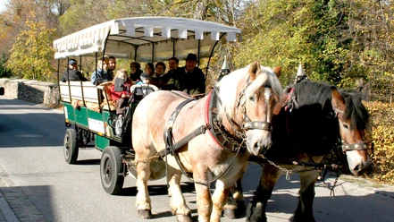 Kutschfahrt Kutschfahrt