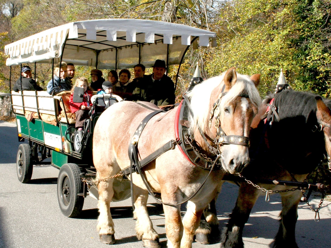 Kutschfahrt Kutschfahrt