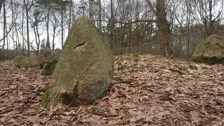 Großsteingrab Ahlhorn