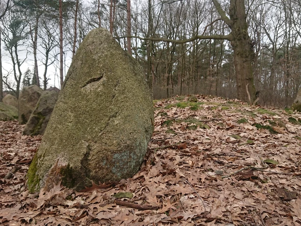 Großsteingrab Ahlhorn