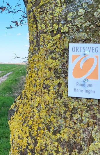 Zwei Wanderer auf dem ORTSWEG Rund um Hemslingen Zwei Wanderer auf dem ORTSWEG Rund um Hemslingen