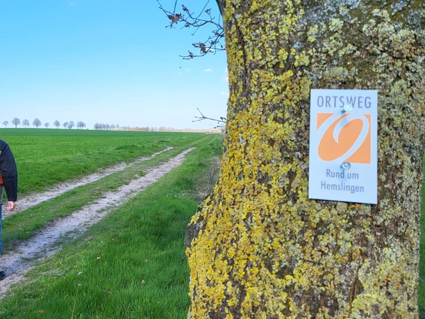 Zwei Wanderer auf dem ORTSWEG Rund um Hemslingen Zwei Wanderer auf dem ORTSWEG Rund um Hemslingen