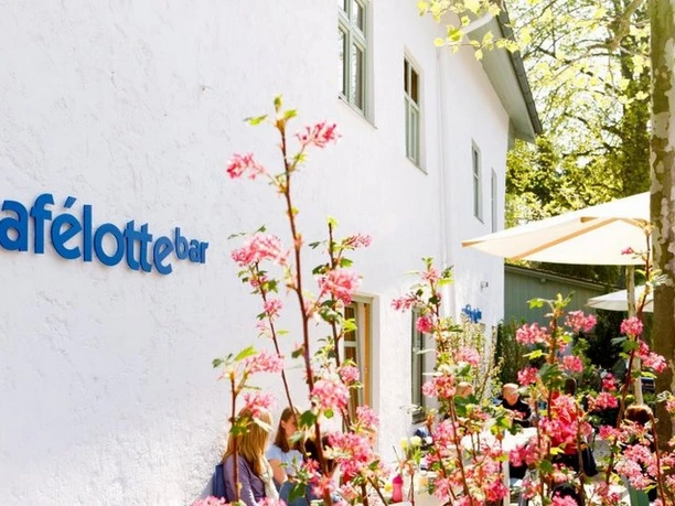 Cafè LotteBar