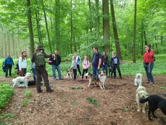 Menschengruppe mit Hunden steht im grünen Wald, ein Guide informiert über die Natur.