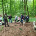 Naturführung mit Hunden im Wald Menschengruppe mit Hunden steht im grünen Wald, ein Guide informiert über die Natur.