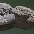 Das Bonner Brückenmännchen Das Bonner Brückenmännchen (bönnsch: Bröckemännche) ist eine Steinskulptur, die 1898 beim Bau der ersten Bonner Rheinbrücke am rechten Turm des Beueler Strompfeilers befestigt wurde und ihren Hintern zur Beueler Seite streckte. Hintergrund war, dass die Brücke ausschließlich von Bonnern finanziert wurde, weil sich die Bewohner der schäl Sick nicht an den Kosten beteiligen wollten.