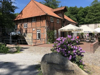 Klostermühle Heiligenberg Ein gepflegtes Backsteingebäude mit rotem Ziegeldach, bewachsenen Rhododendren und Außenterrasse.