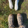Wanderschuhe Verschmutzte Wanderschuhe auf grasigem Boden, dazu die Pfoten eines Hundes in der Bildmitte sichtbar.