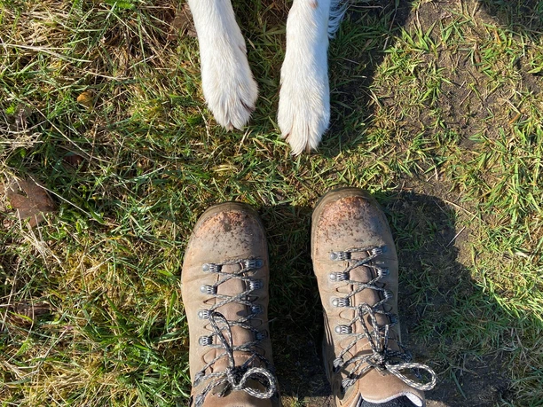 Wanderschuhe Verschmutzte Wanderschuhe auf grasigem Boden, dazu die Pfoten eines Hundes in der Bildmitte sichtbar.