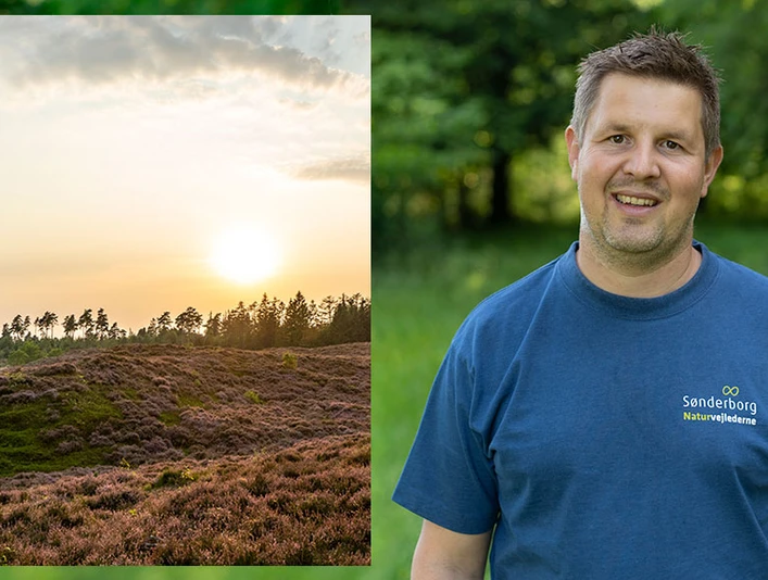 Naturvejleder-Rasmus-anbefaler-Kværs-Hede
