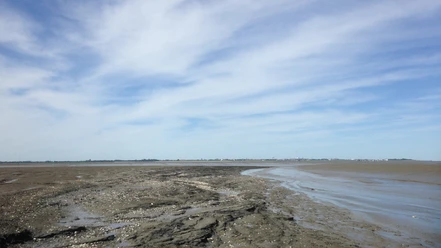 #dangast'grandcanon#bkick'whv.JPG