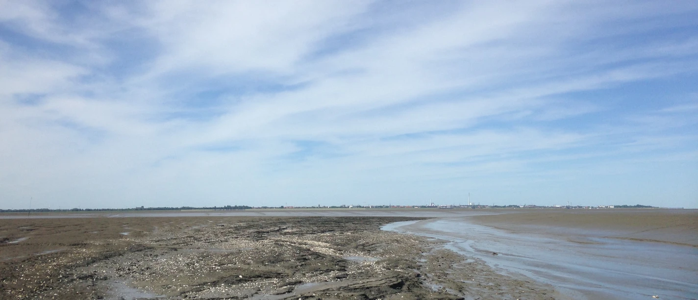 #dangast'grandcanon#bkick'whv.JPG