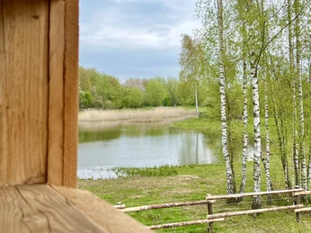 Blick aus einem hölzernen Aussichtspunkt auf einen ruhigen Teich umgeben von grünen Birken und Schilf.