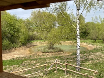 Nieheimer Tongrube Blick auf eine Tongrube in Nieheim, umgeben von Bäumen mit einem kleinen Tümpel in der Mitte.