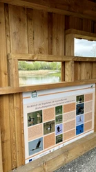 Blick vom Beobachtungspunkt Nieheimer Tongruben Holzhütte mit Informationstafel über Vogelarten. Blick durch Fenster auf Weiher und grüne Natur.