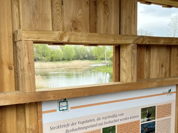 Blick vom Beobachtungspunkt Nieheimer Tongruben Holzhütte mit Informationstafel über Vogelarten. Blick durch Fenster auf Weiher und grüne Natur.