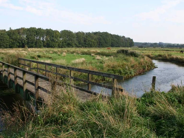 brede-aa