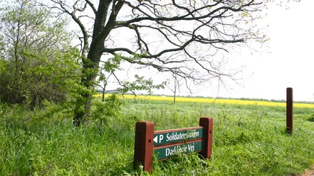 soldaterskoven-1