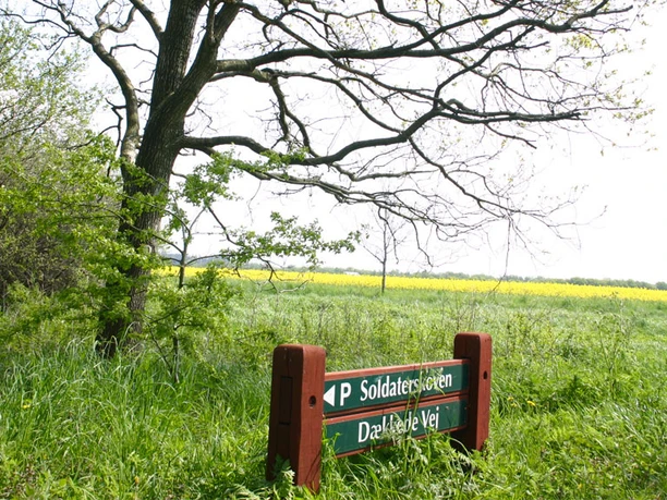 soldaterskoven-1