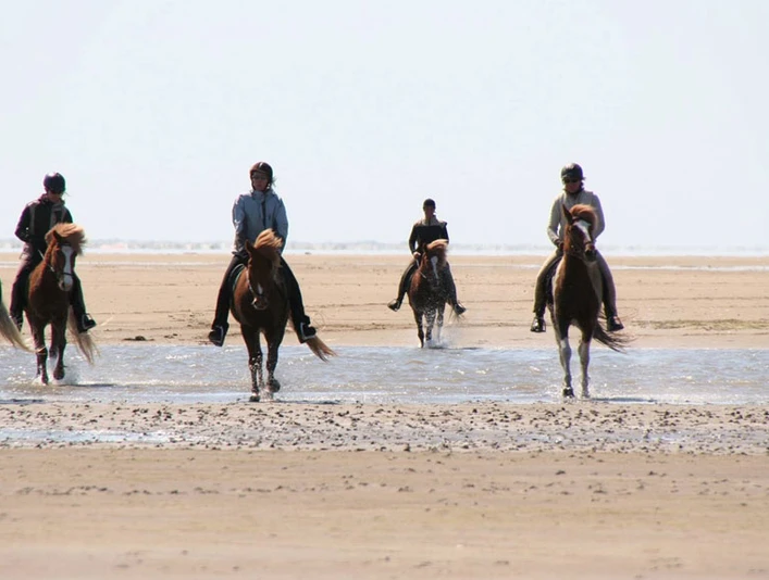 kommandoergaardens-islaendercenter5