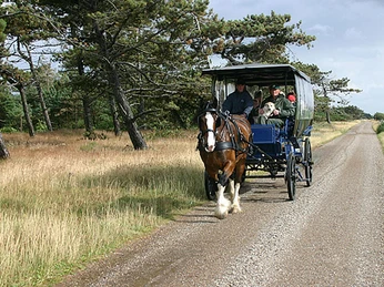 kommandoergaardens-islaendercenter3