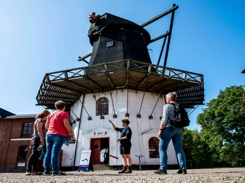 Ulrik_Pedersen_Tondermarsken_august_19_0