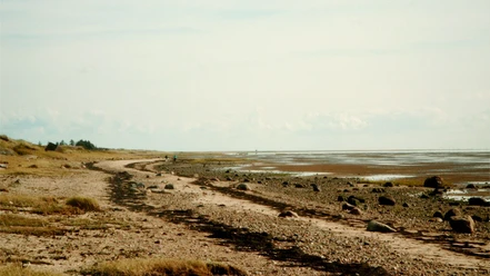 hjerpsted-strand-efteraar