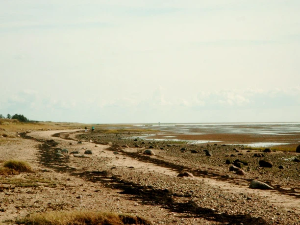 hjerpsted-strand-efteraar