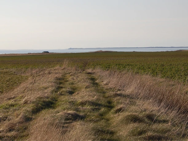 hjerpsted-strand