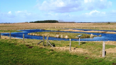 Langdysserne