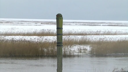 Stormflodssøjlen